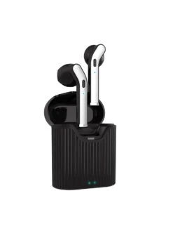 PTron Basspods 481 BT5.0 Wireless Headphones With 12Hrs Playback Time With Case (Black & Silver)