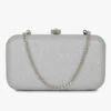 Vdesi Silver Clutch