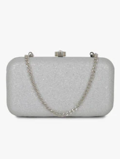 Vdesi Silver Clutch