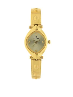 Titan Gold Dial Analog Watch -NM2417YM02